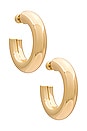view 1 of 3 Sloane Hoops Medium Earrings in Gold