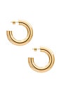 view 3 of 3 Sloane Hoops Medium Earrings in Gold