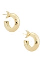 view 1 of 3 Holly Hoops in Gold