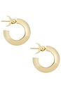 view 2 of 3 Holly Hoops in Gold