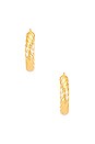 view 2 of 3 Gina Hoops in Gold