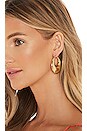 view 3 of 3 Mia Hoops in Gold