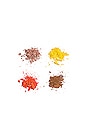 view 4 of 4 XS Sunkissed Palette in 