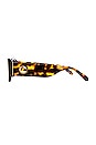 view 3 of 3 Lola in Tortoise Shell & Brown