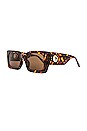 view 2 of 3 LUNETTES DE SOLEIL NIEVE in Dark T Shell & Brown