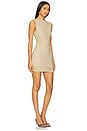 view 3 of 4 Golden Hour Mini Dress in Travertine