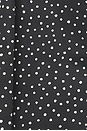 view 4 of 4 Luna Rosa Maxi Dress in Noir Polka