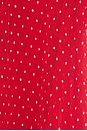 view 4 of 4 District Maxi Dress in Tomato Polka