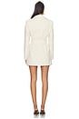 view 3 of 3 Steinway Mini Dress in Beige