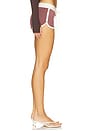 view 3 of 6 Serena Short in Chestnut