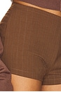 view 6 of 6 REBORN 반바지 in Chocolate Pinstripe