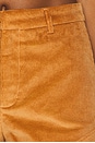 view 6 of 6 Saddle Short in Tan