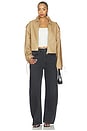 view 5 of 5 Jet Jacket in Beige