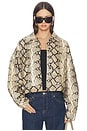 view 1 of 6 Angel Jacket in Camel
