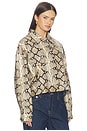 view 3 of 6 Angel Jacket in Camel