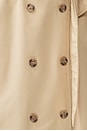 view 9 of 9 Trencherous Coat in Beige