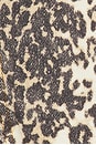 view 5 of 5 Rider Denim Jacket in Leopard Fade