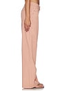 view 3 of 6 Penny Pant in Rose