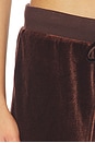 view 6 of 6 Alba Track Pant in Chocolate