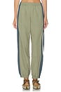 view 2 of 6 PANTALÓN ANISTON  in Khaki