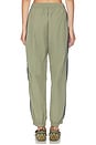 view 4 of 6 PANTALÓN ANISTON  in Khaki