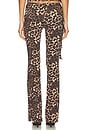 view 4 of 5 Opulence Pant in Leopard