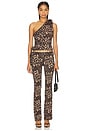 view 5 of 5 Opulence Pant in Leopard