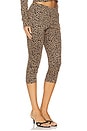 view 2 of 6 PANTALONES CAPRI in Leopard