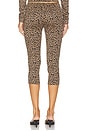 view 4 of 6 x REVOLVE Capri in Leopard