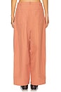view 4 of 6 Riptide Pant in Mocha Mousse