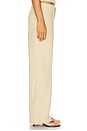 view 3 of 6 Elements Pant in Deep Wheat