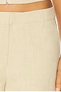 view 6 of 6 Elements Pant in Deep Wheat