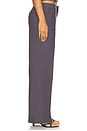 view 3 of 6 Elements Pant in Mineral