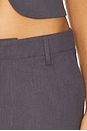 view 6 of 6 Elements Pant in Mineral