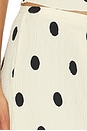 view 6 of 6 FALDA FORD MAXI in Porcelain Polka