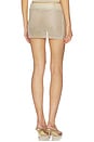 view 4 of 6 FALDA SUNSET MINI  in Gold