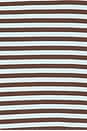 view 5 of 5 Bloom Long Sleeve Top in Chocolate Sea Stripe