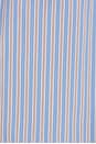 view 5 of 5 Palmer Shirt in Sky Blue Stripe