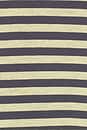 view 5 of 5 Bloom Short Sleeve Tee in Beige Stripe