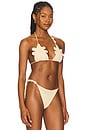 view 2 of 5 x REVOLVE Samba Bikini Top in Wheat