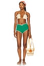 view 5 of 5 x REVOLVE Samba Bikini Top in Wheat