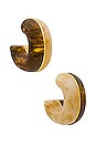 view 1 of 3 Halo Hoops in Dune And Tortoise