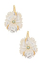 view 1 of 2 New Bloom Earrings in White