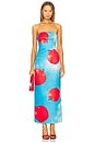 view 1 of 3 Rayna Bustier Maxi Dress in Apple Print