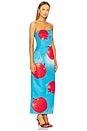 view 2 of 3 Rayna Bustier Maxi Dress in Apple Print
