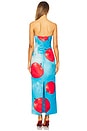 view 3 of 3 Rayna Bustier Maxi Dress in Apple Print