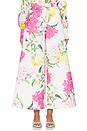 view 1 of 6 Candied Pant in Floral Pear