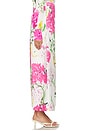 view 3 of 6 Candied Pant in Floral Pear