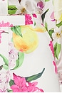 view 6 of 6 Candied Pant in Floral Pear