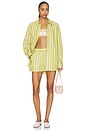 view 5 of 6 Striped Poplin Shorts in Pistachio Multi